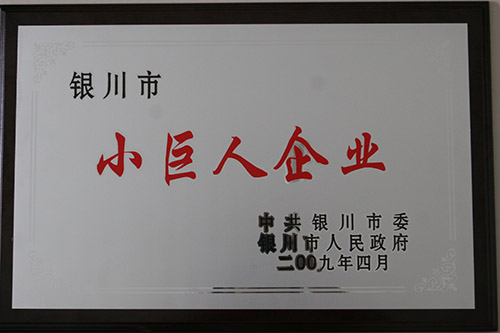 6月17日，一汽丰田银川上陵店被银川市委、市*命名为“小巨人企业”。