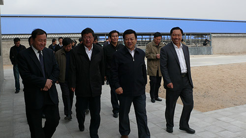 10月26日，银川市委副*、市长王儒贵一行调研指导翔达牧场工作。